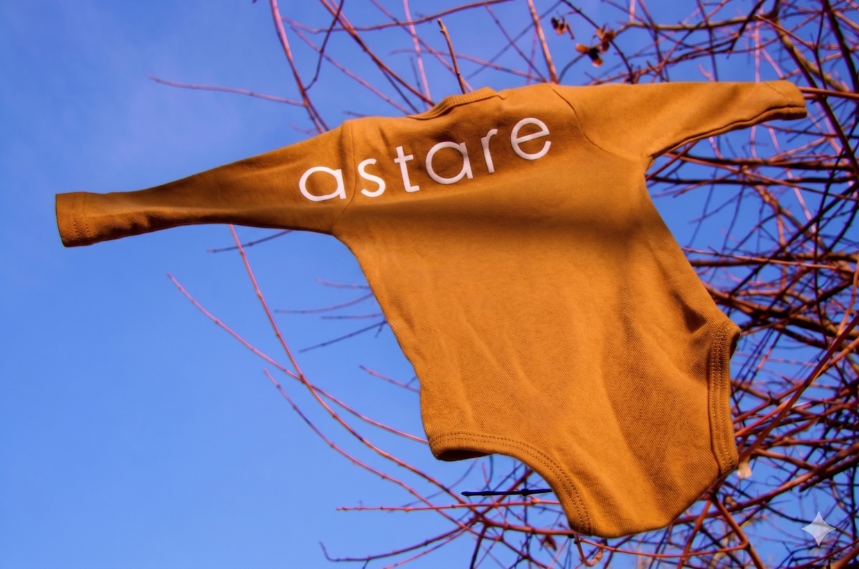 startastaretijdlijn